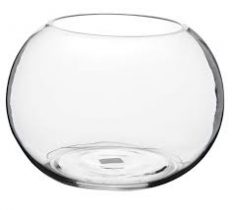 Goldfish Bowl