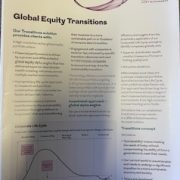 GLOBAL EQUITY TRANSITION