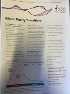 GLOBAL EQUITY TRANSITION