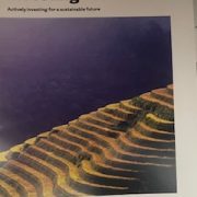 sustainable investing